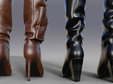 Stylish Womens High Boots two pairs 3D Model