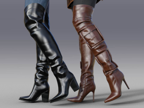 Stylish Womens High Boots two pairs 3D Model