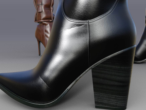 Stylish Womens High Boots two pairs 3D Model