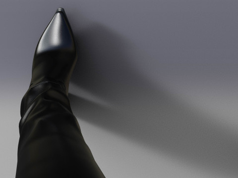 Stylish Womens High Boots two pairs 3D Model
