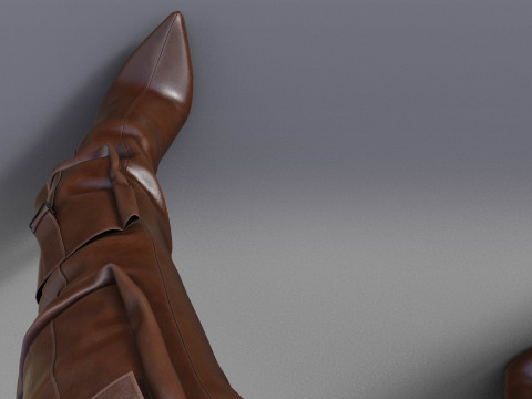 Stylish Womens High Boots two pairs 3D Model
