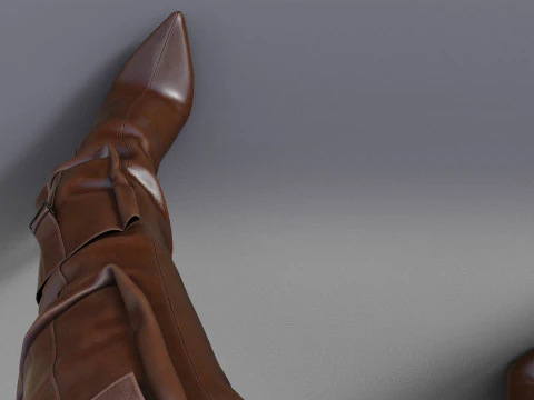 Stylish Womens High Boots two pairs 3D Model