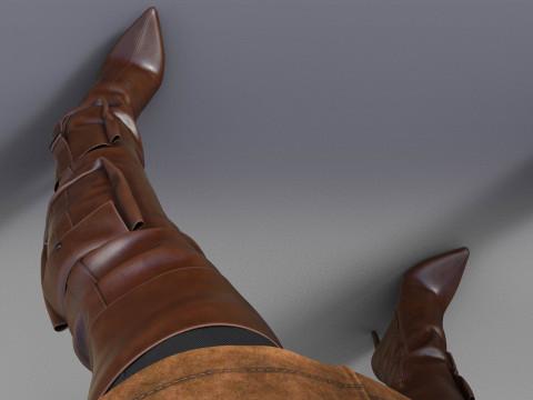 Stylish Womens High Boots two pairs 3D Model