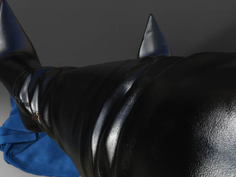 Thigh-high Santa Cruz Boots 3D Model