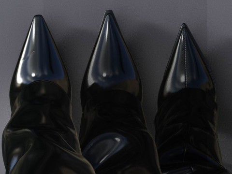 Beautiful Womens Boots 3 Pairs Modelo 3D