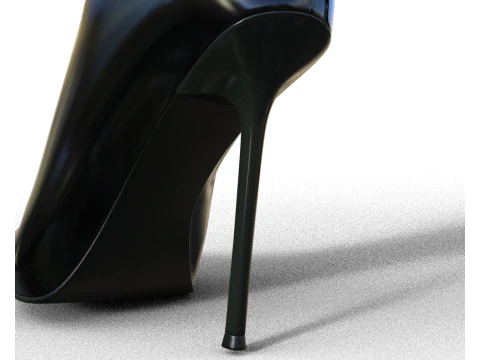 GIANMARCO LORENZI Womens Boots 2 pairs 3D Model