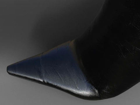 BOOTS Botas botas cris Modelo 3D