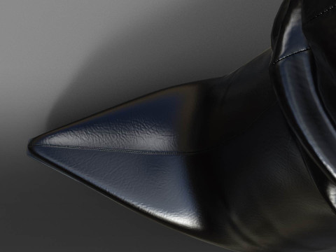 ANKLE BOOTS TWO PAIRS 3D Modell