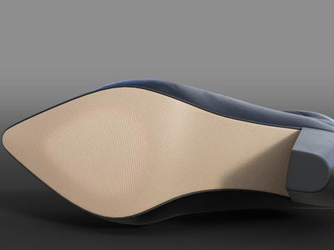 ANKLE BOOTS TWO PAIRS 3D Modell