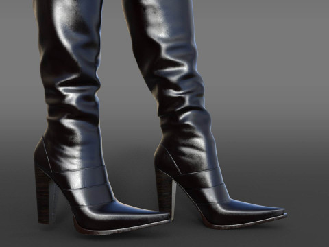 Country style boots Modelo 3D