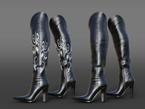 Country style boots Modelo 3D