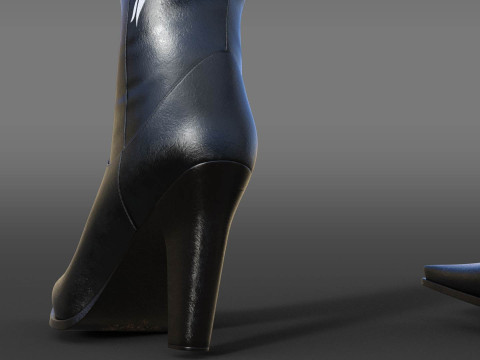Country style boots Modelo 3D