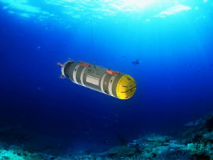 The of the American multi-purpose underwater autonomous drone Snakehead 3D Model