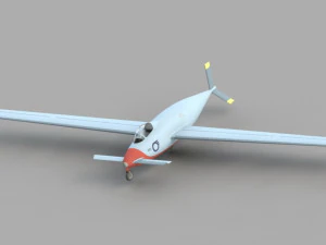 del concetto di aliante acrobatico secondo lo schema di un'anatra Modello 3D