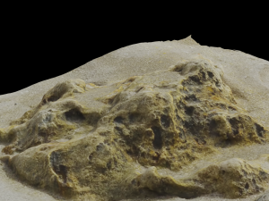 Rock 3D scan 3D 模型