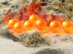 The 7 Dragon balls 3D Model