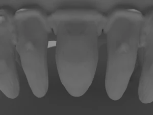 Dead Creature 3D Model