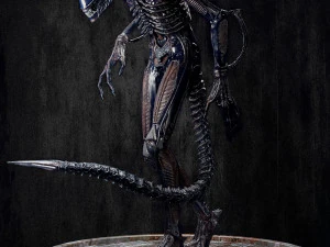 Alien 3D Model