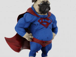 कुत्ता सुपरमैन 3D मॉडल