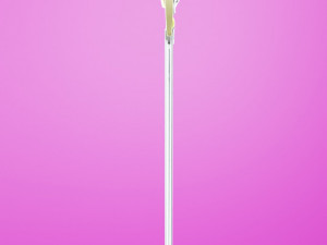 Sword Master Shishou 3Dモデル