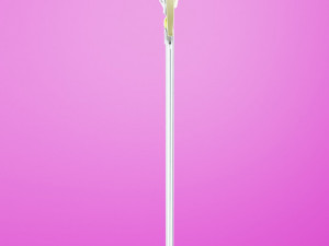 Sword Master Shishou 3Dモデル