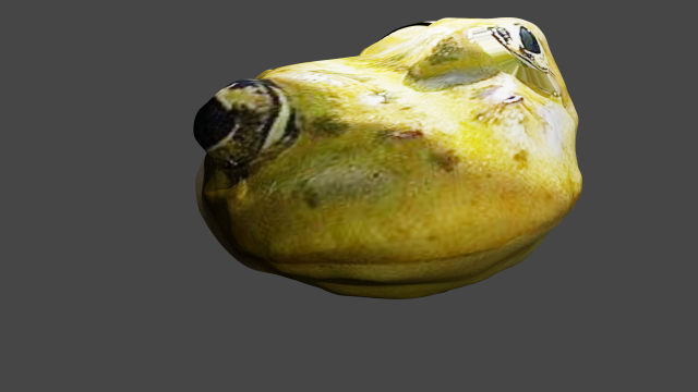 Frog s pivom kokochambo OwO komar228 3D Модель .c4d .max .obj .3ds .fbx .stl .blend 