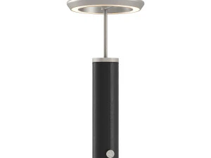 ヴィアビズーノ - マノンドヴェヴァムーヴェデルシピウ 3Dモデル