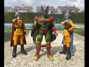 GAMMA2 DRAGONBALL SUPER SUPER HERO 3D Print Model