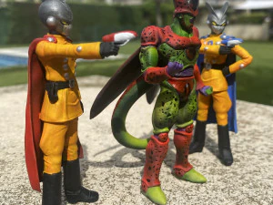 GAMMA2 DRAGONBALL SUPER SUPER HERO 3D Print Model