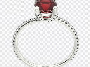 Rhinoceros with V-Ray Scene Setup for Jewelry 3D Rendering Texturas CG