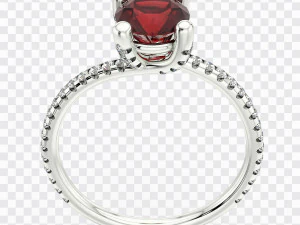 Rhinoceros with V-Ray Scene Setup for Jewelry 3D Rendering CG Textures