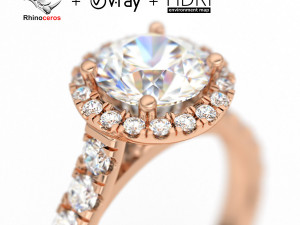 Rhinoceros With V-Ray 3D Jewelry Render Scene Setup 3D-Modell