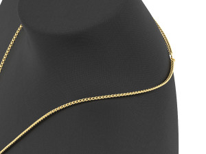 Mannequin Display With 2 Chains For Jewelry Pendant KeyShot 3D Rendering Modelo 3D