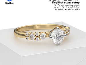 Photorealistic KeyShot Scene Setups For Jewelry 3D Rendering On Display Modelo 3D