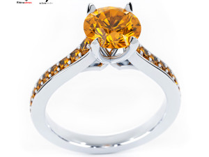 Jewelry Render Scene Setup for Rhino with OctaneRender Model 3D