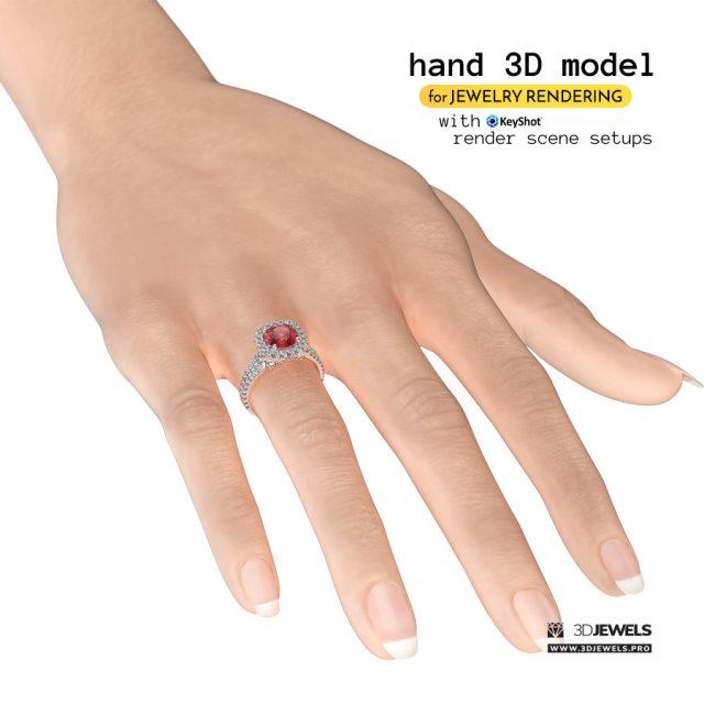 Female Hand For Jewelry Rendering With KeyShot Scene Setups 3D Model .c4d .max .obj .3ds .fbx .stl .blend 