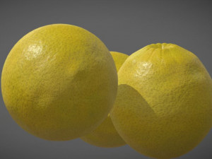 Lemon 3D Model