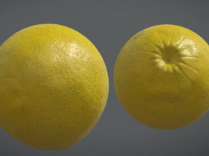 Lemon 3D Model