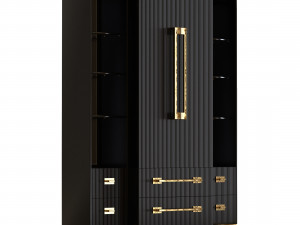 Ebony Satin Tall Cabinet 3D Model