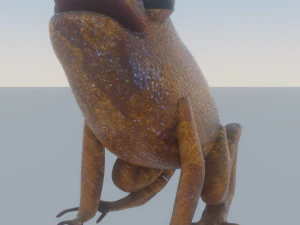 Brązowa żaba Mid-Poly Model 3D