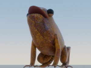 Mid-Poly Brown Frog 3D Model