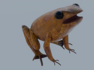 Mid-Poly Brown Frog 3D Model