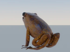 Mid-Poly Brown Frog 3D Model