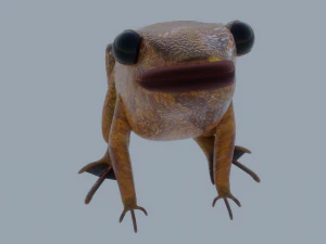 Mid-Poly Brown Frog 3D Model