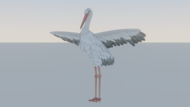 Stork 3Dモデル .c4d .max .obj .3ds .fbx .stl .blend