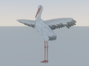 Stork 3Dモデル