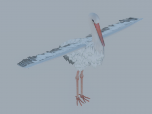 Stork 3Dモデル