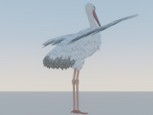 Stork 3Dモデル