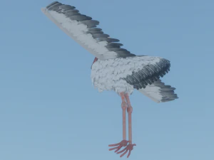 Cegonha Modelo 3D