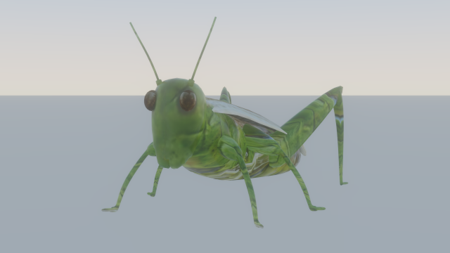 Grasshopper Modèle 3D .c4d .max .obj .3ds .fbx .stl .blend 
